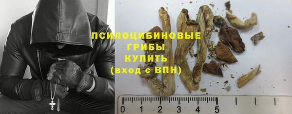 мдпв Лиски
