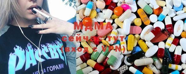 хмурый Магас